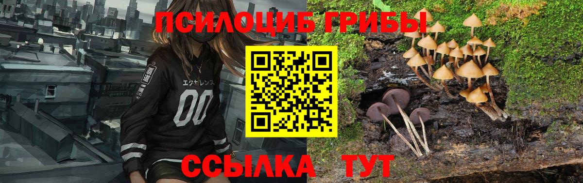 Муравленко  Галлюциногенные грибы GOLDEN TEACHER  Вход с VPN 